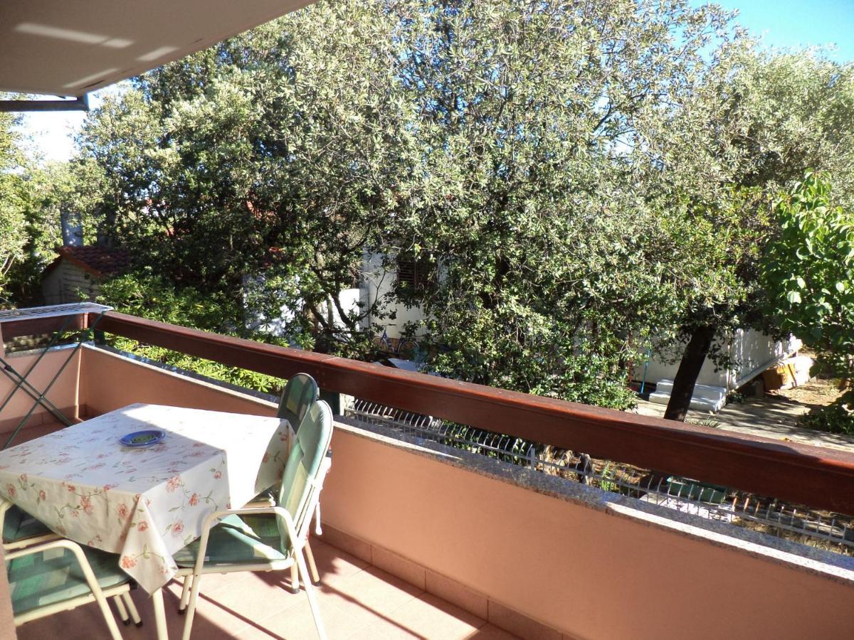 Apartment Blanka Petrcane Εξωτερικό φωτογραφία