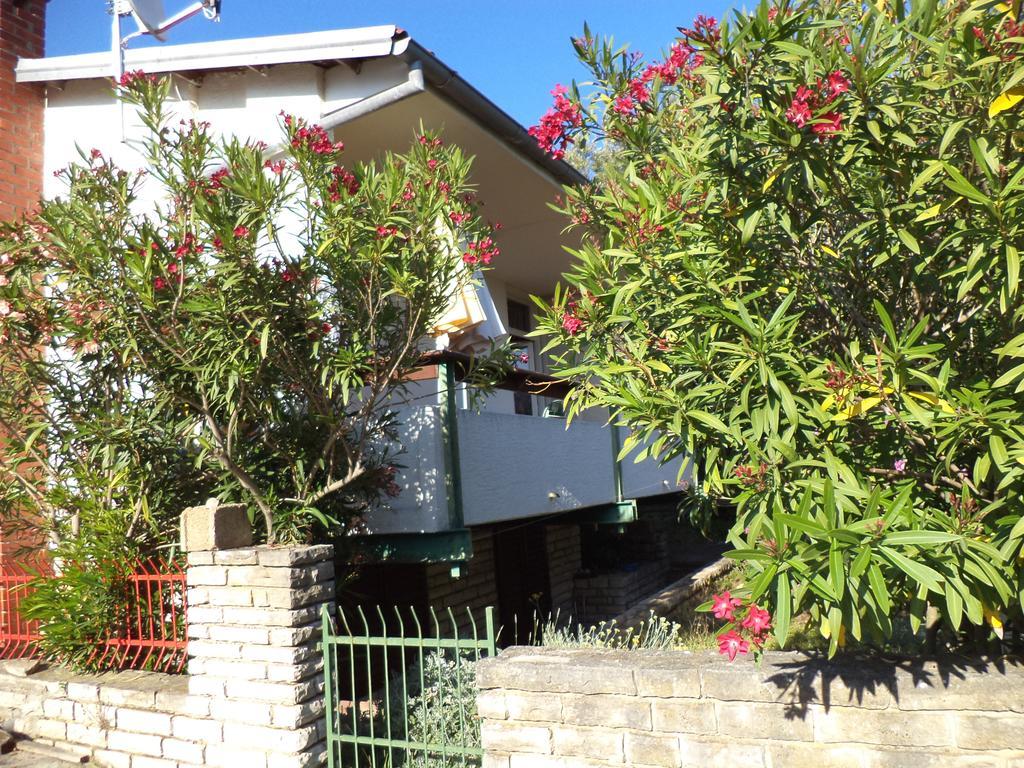 Apartment Blanka Petrcane Εξωτερικό φωτογραφία